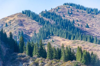 Sonbaharın görkemli zirvelerdeki güzelliğini hisset. Kendinizi sıcak altın renklere ve yemyeşil ormanlara daldırın. Doğanın çarpıcı renk oyununda ilham bul. Sonbaharın özünü yakala.