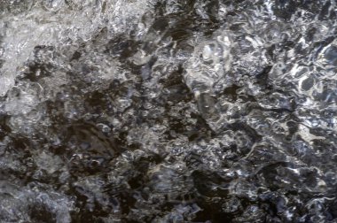 Bulanık odak. Bir dağ deresinin huzurlu güzelliğinin tadını çıkar. Zarif bir şekilde akan berrak suyun nefes kesici görüntüleri. Kendini doğanın rahatlatıcı seslerine bırak..