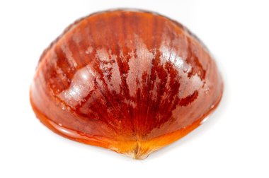 Odak noktası olarak kestane ağacının güzelliğinin tadını çıkar. Doğal tonları ve temiz beyaz arkaplanı olan zarif bir tasarım. Doğal basitliğin özünü yakalayın. Biraz ihtiyatlı ol..