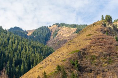 Tien Shan ladin ormanlarının nefes kesici güzelliğini tecrübe edin. Zorlu yükseklikleri fethetmek ve dokunulmamış doğayı keşfetmek. Muhteşem bir dağ macerasında doğa kaşiflerine katılın..