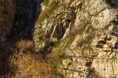 Sonbaharda Tien Shan Dağları 'nın çarpıcı güzelliğini tecrübe edin. Kendinizi canlı yeşilliklere ve nefes kesici manzaraya daldırın. Doğa aşıkları için ideal bir tatil yeri. Yürüyüş yollarını keşfet