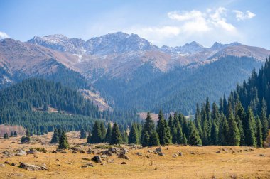 Tien Shan dağlarındaki sonbaharın güzelliğinin tadını çıkar. Yeşillik ve renkli çiçeklerin arasında huzurlu bir yürüyüşün tadını çıkar. Kendini bu dağ yürüyüşünde sükunete daldır..
