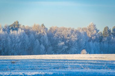 Karla kaplı cennetin büyüsünü hisset. Taze karın verdiği hazzı hisset. Kendinizi bir kış harikalar diyarına daldırın. Mevsimin saf neşesi ve serinliğiyle kendini şımart.