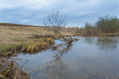Gizli kunduz banyosu olan gizli bir çöl vahası keşfettim. Kendi spanızda tam bir rahatlama deneyimi yaşayın. Rahatlayın ve Beaver Spa Sahasında gençleşin..
