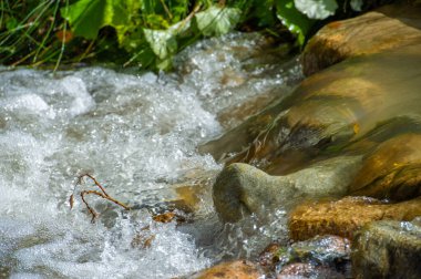 Kendinizi bir dağ deresinin huzurlu seslerine daldırın. Ruh için Basamak Taşlar 'la huzur ve rahatlama bul. Kendini doğanın yatıştırıcı melodilerine ver..