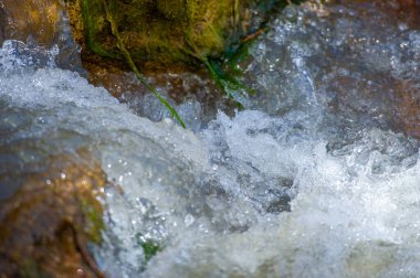 Doğanın dinginliğini hisset. Kayalık engellerin üzerinde dans eden suyun rahatlatıcı melodisini dinle. Vahşi doğada huzur bul, bir dağ deresinin sesini dinle..