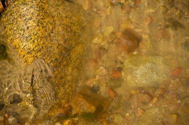 Kendinizi resim gibi bir derenin sükunetine daldırın. Yosun kaplı kayaların üzerinden akan kristal berrak suyun tadını çıkar. Rahatlatıcı seslere ve ferahlatıcı atmosfere alışın..