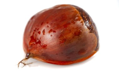 Kestanenin tadını yeni bir ışıkta keşfet. Just Nuts 'ın basitliğini ve zarafetini hisset. Kocaman aromalı küçük bir hazine seni bekliyor..