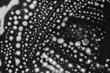 Sabunumuzla lüks bir sabun köpüğü yaratırız. Deterjan herhangi bir yüzeyi temizlemek için tasarlanmıştır..