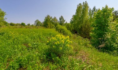 Bahar fotoğrafçılığı, çayır tarlaları, ağaçlar, tepeler ve vadiler, bulutlu bir gökyüzünde parlak güneş.