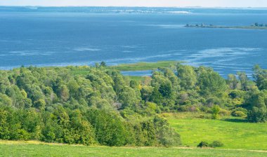 Yaz manzarası. Dünyanın Avrupa bölgesindeki bir nehir. Güneşli sıcak bir gün. Yeşil ağaçlar, çimenler. Mavi gökyüzü küçük bir bulut örtüsüyle.