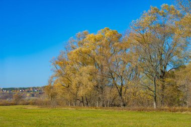 Nehrin sakin taşkın ovasında sonbaharın güzelliğinin tadını çıkar. Nehir kıyısında büyüyen çarpıcı sarı ağaçlara hayranlık duyun. Keyifli bir yürüyüş yap ve renkli yapraklarla ıslan..