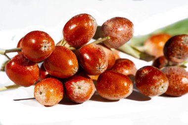 Beyaz arka planda Yaprak Angustifolia meyvesinin canlı renkleri yer alıyor. Geleneksel tıp, Elega angustifolia 'nın temel bileşenlerinden biridir. Bal bitkileri arıları çeker