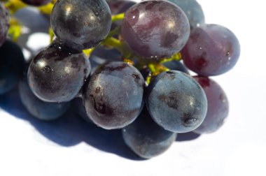 Temiz beyaz arka planda siyah üzümlerle güzel bir zıtlık var. Şarapla ilgili pazarlama materyalleri ya da sosyal medya paylaşımları için ideal bir görüntü. Sulu üzüm dokusu
