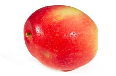 Kandil elmalarının sulu ve vitamin zengini meyveli eşsiz bir çeşidi. Bahçende kandil elması yetiştir. Lezzetli ve sağlıklı bir atıştırmalık için olgun meyveler topla. Bir bahçe yolculuğunun parçası