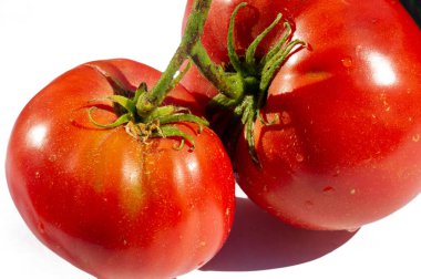 Yüksek miktarda C vitamini ve antioksidan içeriyor. Bahçıvanlık ve tarım için harika. Olgunlaştığında sulu ve aromatik. Çeşitli yemek ve mutfaklarda kullanılır. Tatlılığı maksimuma çıkarmak için olgunlaştığında hasat et