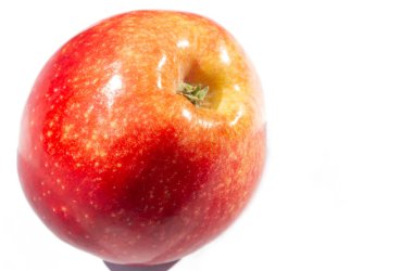 Beyaz arka planda elma. Elma ağacı - gerçek güzelliğin bir örneği