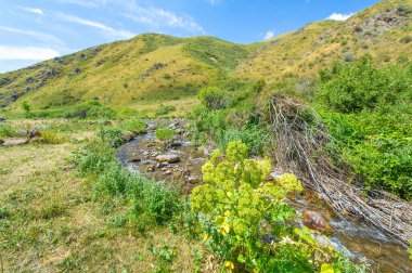 Doğanın büyüleyici güzelliğinin tadını çıkar. Nehrin kayalık kanyonda nasıl zarifçe aktığına bakın. Dağların kalbindeki huzur ve sükuneti hisset..
