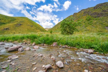 Doğanın dingin güzelliğinin tadını çıkar. Kayalık kanyondan geçen nehri izle. Çevrenizdeki görkemli dağlardan büyülenin..