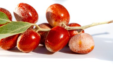 Eleagnus angustifolia sağlık yararları için geleneksel tıpta yaygın olarak kullanılır. Yaprak Angustifolia meyveleri zengin bir besin kaynağıdır. Bal bitkisi olarak da bilinir..