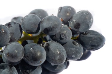 Beyaz arka planda sulu siyah üzümler şarap severler için ideal reklam veya ambalaj tasarımı için çekici bir görüntü