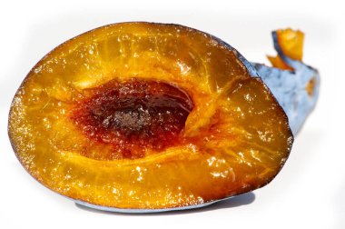 Sulu meyvelerle dolu erik ağaçlarıyla sağlıklı bir bahçe oluşturun. Lezzetli tarifler için vitamin zengini erikler toplayın. Bahçenizde verimli bir hasat için olgun erikler yetişir..