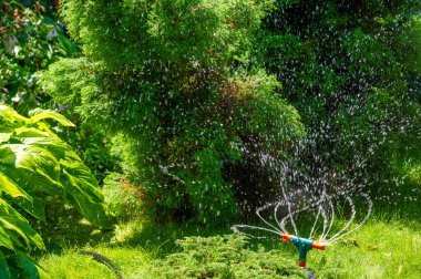 Bahçeni su fıskiyesiyle sulu ve sağlıklı tut. Çiçeklerinizi ve çimlerinizi bir düğmeye basarak kolayca sulayın. Sulama işlemini otomatik hale getirerek zaman ve çabadan tasarruf et.