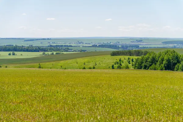 Yaz manzarası, biçilmiş tarlalar biçilmiş tarlalar, biçilmiş yoncalar.