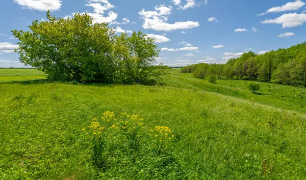 Bahar, tarlalar, vadiler, tepeler, kırsal alanlar. Dik yamaçlı, derin ve dar bir vadi. Doğal olarak yükseltilmiş bir arazi, bir dağ kadar yüksek ya da sarp değil..