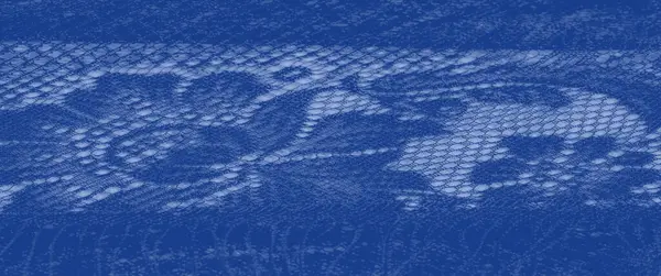 Dalgalı mavi dantelli, karmaşık dokuma desenleri olan, yumuşak ışık ve doku yakalayan, zarif tekstil ya da moda tasarımı için mükemmel..