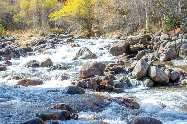 Tien Shan dağlarının nefes kesici güzelliğini keşfedin. Bakir nehrin yumuşak akışını dinlerken sükuneti hissedin. Etrafın yemyeşil ormanlarla çevrili olacak.