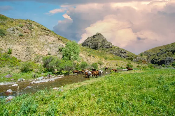 Doğanın huzurlu güzelliğinin tadını çıkar. Nehrin kayalık kanyonda nasıl zarifçe aktığına bakın. Kendini baş döndürücü dağ manzarasına daldır..