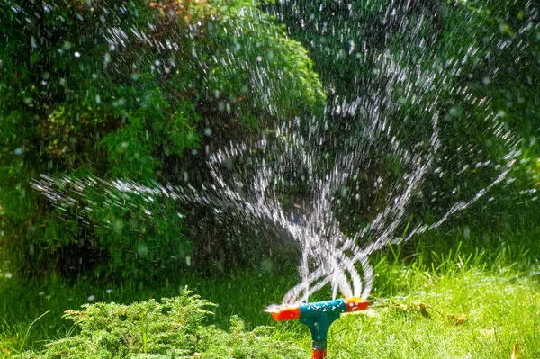 Bahçeni su fıskiyesiyle sulu ve sağlıklı tut. Elle sulamaya gerek kalmadan bitkilerinizi kolayca sulayın. Suyun bahçenizin her yerine eşit olarak dağıtıldığından emin olun..