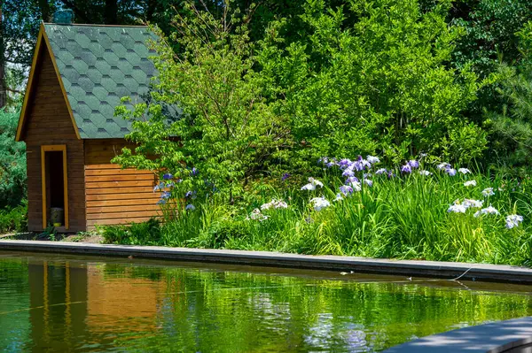 Kuğular için ev. Bir Doğa Senfonisi kendini kuş ötüşünün yatıştırıcı melodilerinde kaybet. Bu cennet gibi gölet kuğular ve hayat korosu için bir cennet haline gelirken. Doğanın Uyumu