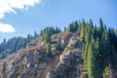 Doğanın bir şaheseri! Sonbaharda, Tien Shan Dağları 'nın nefes kesen güzelliğine dalın. Titrek yeşilliklerin, canlı renklerle boyadığı yere..