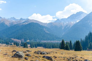 Sonbahar zirvelerinin güzelliğine dalın. Sıcak altın renklerin ve yemyeşil ormanların tadını çıkar. Doğanın ihtişamında ilham bul.