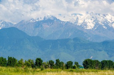 Yazın eteklerin güzelliğinin tadını çıkar. Uçsuz bucaksız tarım arazilerini ve resimli manzaraları keşfedin. Yürüyüş, bisiklet ve piknik gibi açık hava aktivitelerinin tadını çıkarın..