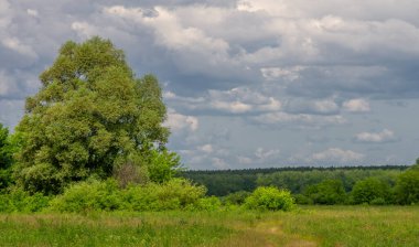 Yaz, gök gürültülü bulutlar, mavi gökyüzü, sel basmış çayır tarlaları, yaz renklerinin kokusu ve çeşitli kır çiçekleri.