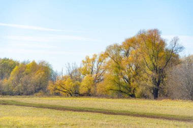 Sel baskını sahasında sonbaharın güzelliğinin tadını çıkar. Suya yansıyan sarı ağaçların canlı renklerinin tadını çıkar. Sonbahar fotoğrafları ve doğa yürüyüşleri için ideal bir yer..