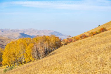 Sonbaharda Tien Shan dağlarının çarpıcı güzelliğini tecrübe edin. Renkli yeşilliklere ve nefes kesici manzaraya tanık olun. Kendinizi doğanın sonbahar renklerine daldırın.
