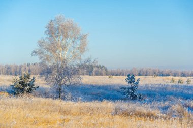 Kendinizi bir kış harikalar diyarına daldırın. Dokunulmamış karla kaplı alanlarda yürümenin zevkini yaşayın. Temiz ve ferahlatıcı havayı içine çek. Bırak her adım keyifli olsun.