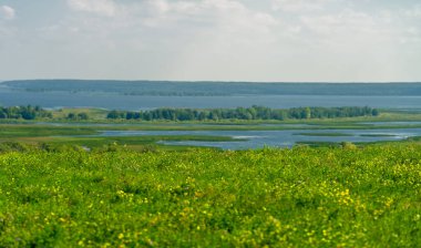 Yaz manzarası. Dünyanın Avrupa bölgesindeki bir nehir. Güneşli sıcak bir gün. Yeşil ağaçlar, çimenler. Mavi gökyüzü küçük bir bulut örtüsüyle.