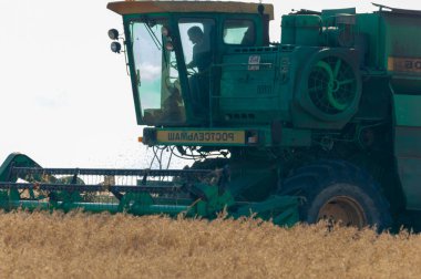 Arpa hasadının yaz fotoğrafı, Combine Harvester, 2019 06 Tukaevsky bölgesi Tataristan 'da hasat, harman ve sarma sürecini birleştiren mekanize bir yöntemdir.