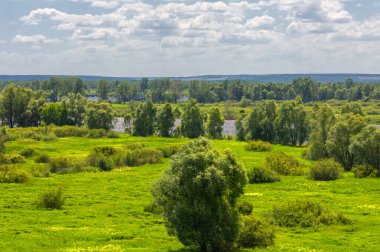 Yaz manzarası, nehir taşkınları, pitoresk kıyılar, kır çiçekli parlak yeşil çimenler, beyaz bulutlu mavi gökyüzü, ılık yaz günleri.,