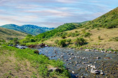 Bir dağ nehrinin sihrini hikaye anlatarak yaşayın. Doğanın güzelliğini ve sükunetini keşfedin. Suyun rahatlatıcı sesi seni başka bir dünyaya taşısın..