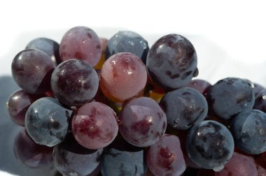 Gevrek ve ferahlatıcı siyah üzümler şarap yapmak için idealdir ya da sulu bir atıştırmalık olarak pazarlama malzemelerinde kullanmak için yüksek kalitede görüntü için idealdir