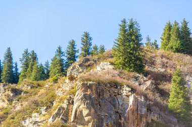 Tien Shan 'ın sonbahar cazibesinin arasında huzurlu bir yürüyüş! Bu dağ yamacının sükunetini içine çek. Çam ağaçlarının yemyeşil yeşilliklerinde gezinirken ve her birini süsleyen canlı çiçeklere hayran kalırken.