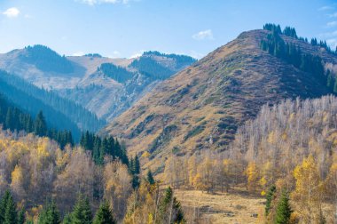 Sakin bir ormanda sonbaharın güzelliğini hisset. Yeşillik ağaçların arasında dolaşın ve doğanın çarpıcı renklerine tanık olun. Kendini görkemli dağların sükunetine bırak.