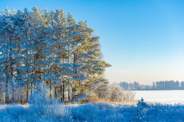 Karla kaplı bir tarlanın büyüsünü hissedin. Parlak mavi gökyüzünün rehberliğinde sonsuz maceralar keşfedin. Kendini doğanın kar tanelerinin büyüleyici kollarına bırak..