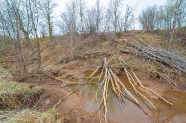 Sonsuz tarlaların arasında gizlenmiş büyüleyici bir vahayı keşfet. Gizemli Gölet 'te doğanın serenatını tecrübe et. Kunduz cenneti ve onun vahşi harikalarını keşfedin..